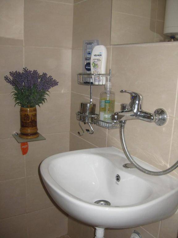 Apartment Shesti Uchastak