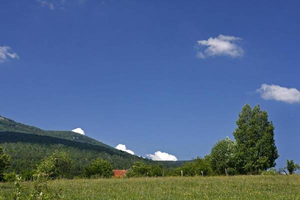 Vacation Home Selo Boykovets