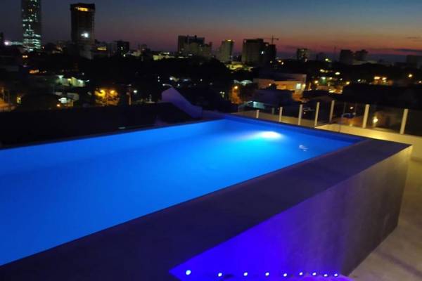 Delfines Collection Equipetrol