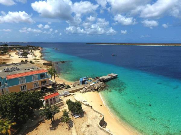 Oceanfront Grouper at Den Laman