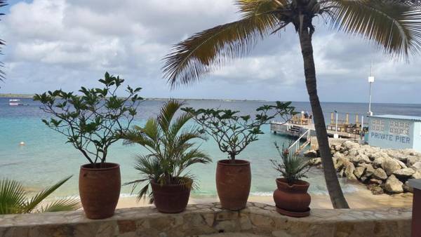 Den Laman - Balloonfish