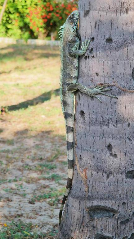 Pousada Vila Cajuina - Luis Correia