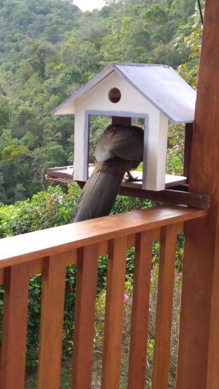 Casa Sossego da Montanha