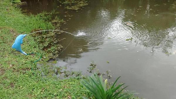 Sítio e Pousada Recanto Dos Ipês