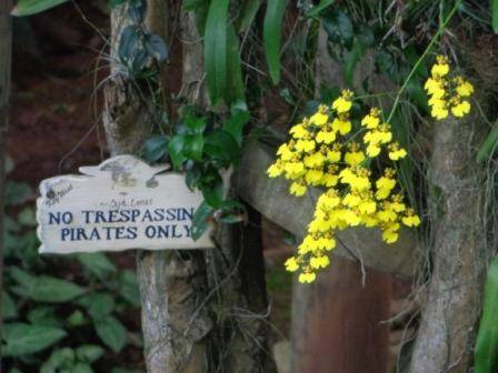 casa da sereia Mermaid Lounge