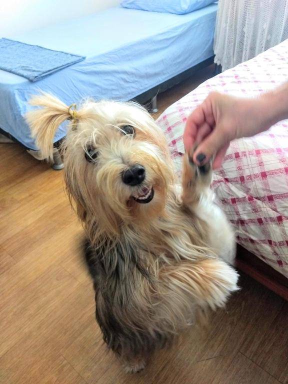 QUARTO Com Frigobar Três Quadras Mar Aceita PETS