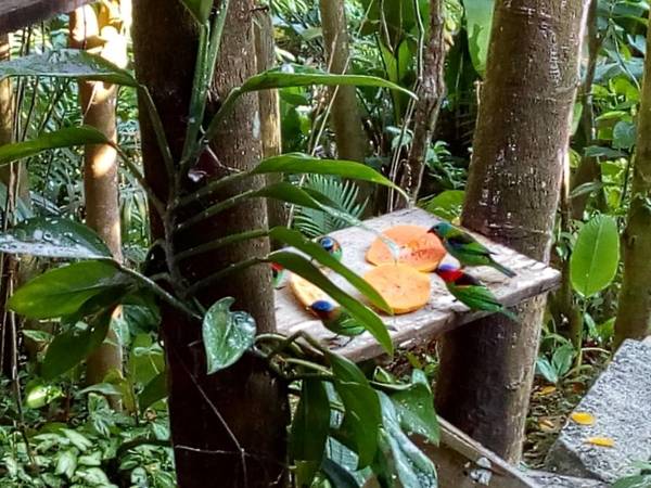 Pousada Ubatuba do Alto