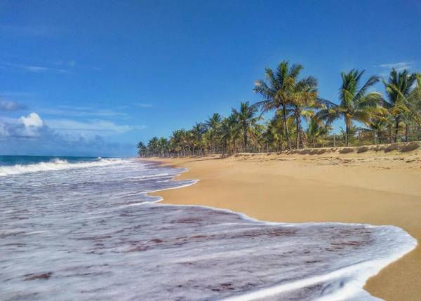 Pousada Jardim Das Margaridas