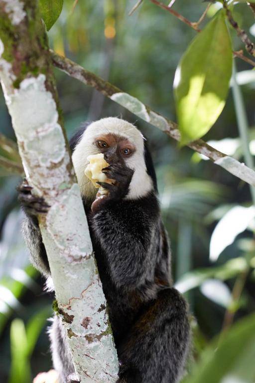 UXUA Casa Hotel & Spa