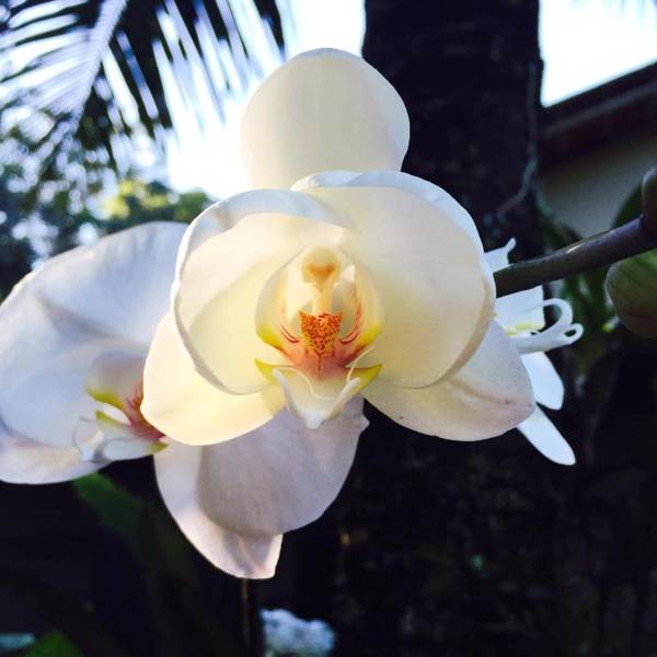 Vila Pitanga Trancoso