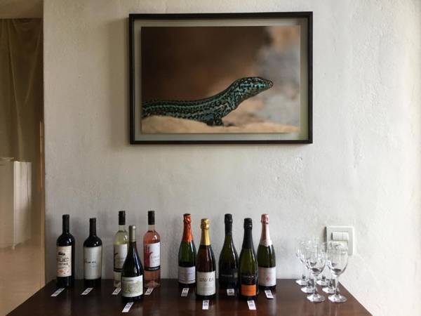 Pousada Casa das Fontes