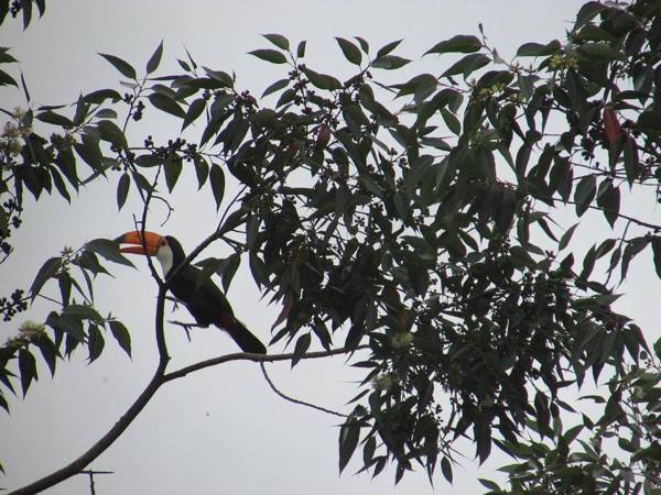 Pousada Village Tere