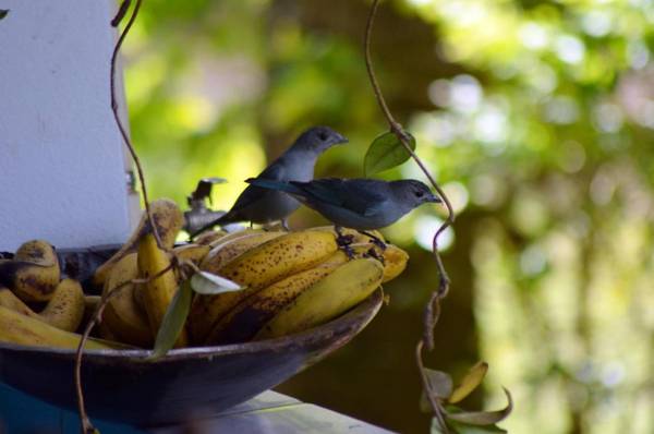 Estância Villa Ventura