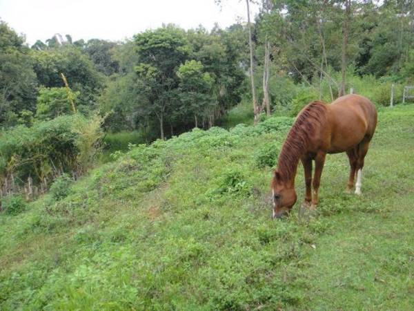 Vereda Bike Park Hotel