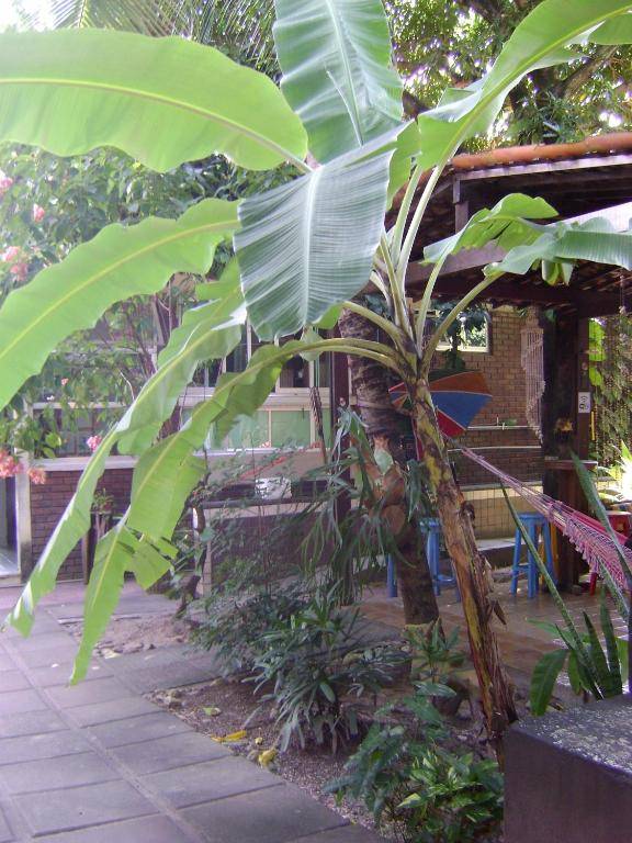 Hotel Pousada Casuarinas