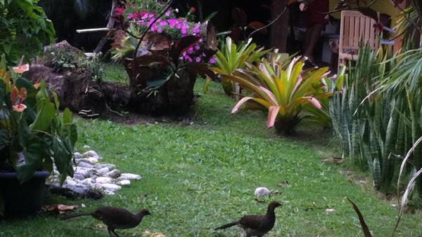 Pousada Varanda do Sol