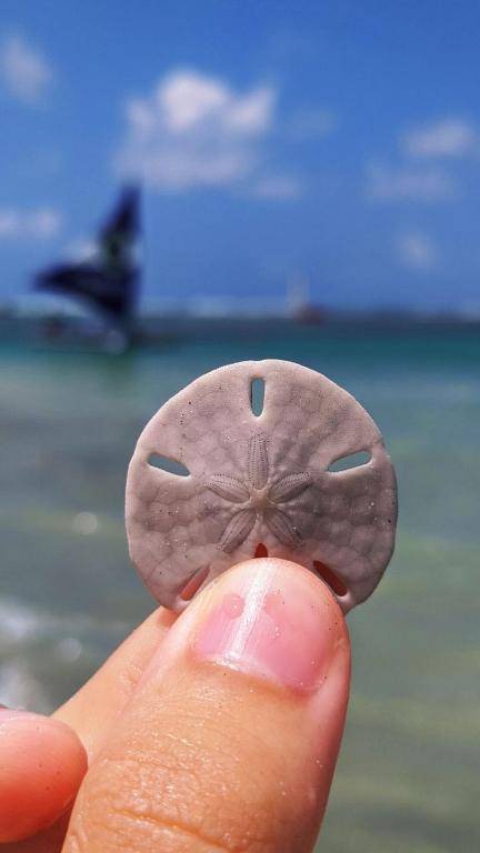 Pousada Luz do Porto