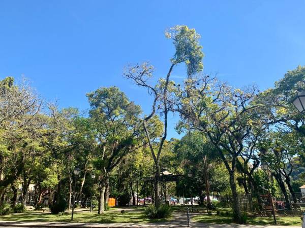 HMG Morada & Chalet - Centro histórico
