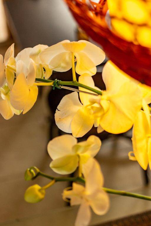 Pousada Ponta da Vigia