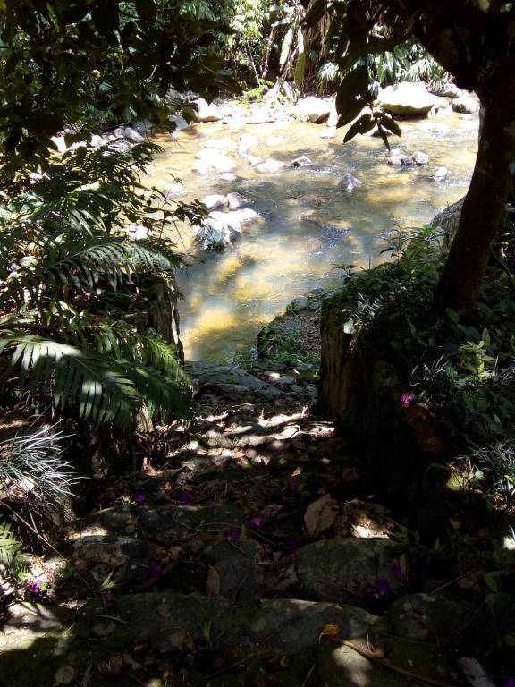 Casa e Flat da Cachoeira