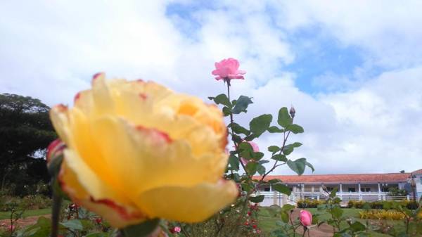 Hotel Fazenda Retiro das Rosas