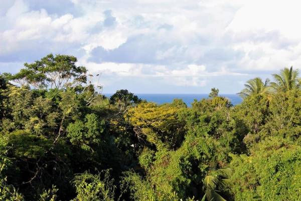 Novos Baianos Hostel e Suites