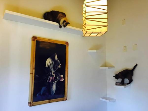 Pousada Pura Vida Maresias