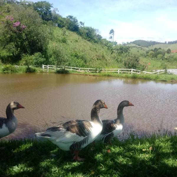 Fazenda Serra que Chora - Pousada e Restaurante