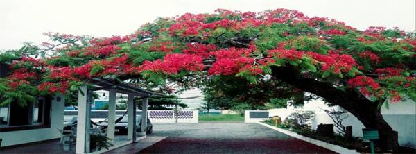 Pousada Recanto Belas Artes