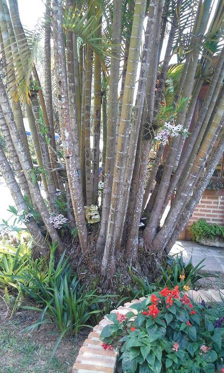 Suites em meio a Mata Atlântica