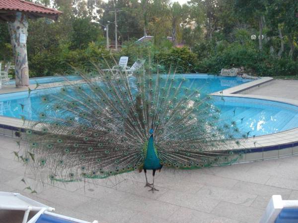 Pousada Chácara Rio Jordão