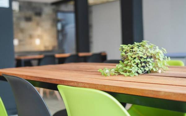 Innbox - Canasvieiras 2