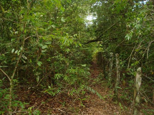 Pousada Jardim da Chapada