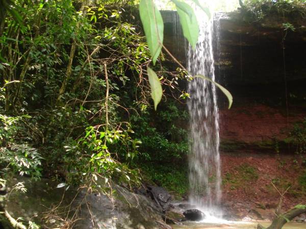 Pousada Jardim da Chapada