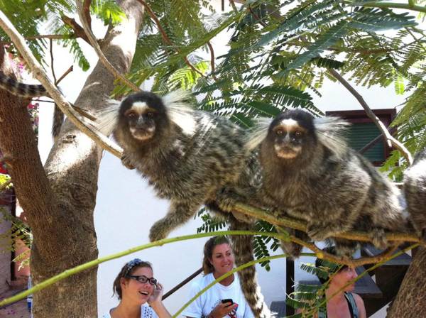 Hotel e Pousada La Dolce Vita