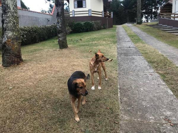 Chalés Toca dos Esquilos