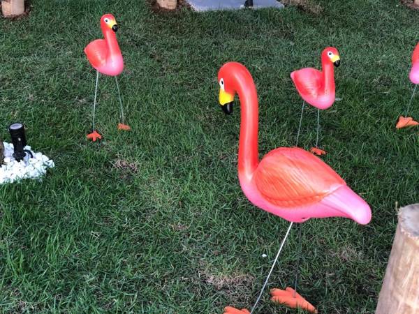 Flamingo Beach Pousada