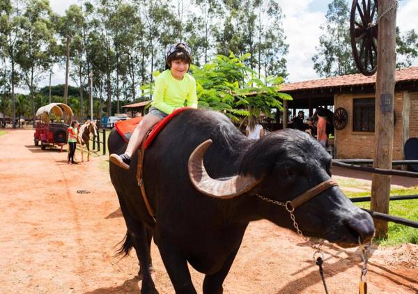 Barretos Country Thermas Resort