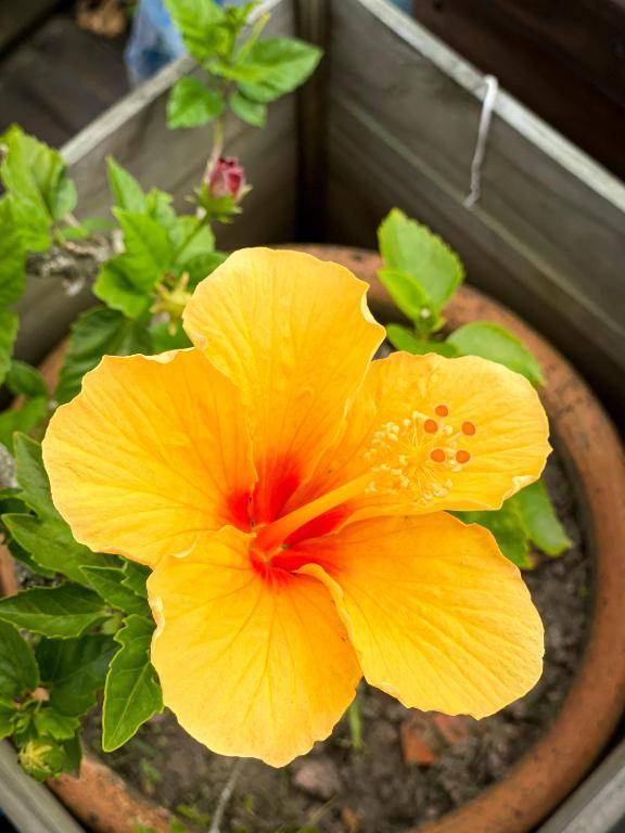 Suíte em Balneário Camboriú