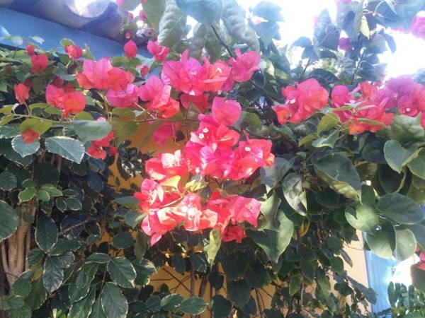 Pousada Repouso do Guerreiro