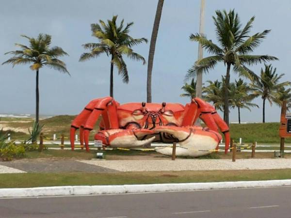 Aracaju Temporada