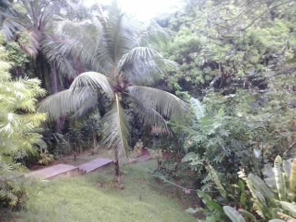 Casa em Morro de São Paulo