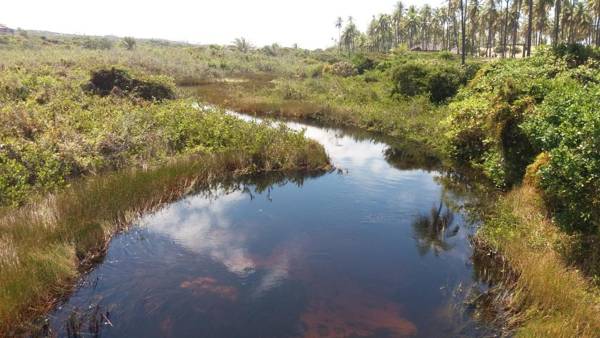 Vila dos Lírios -Tranquilidade e Natureza