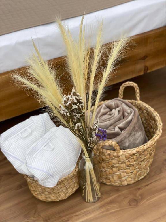 Zion Bubble Glamping