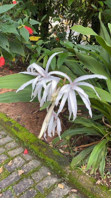 Pousada Rosa dos Ventos Kchu
