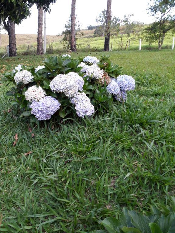 Recanto Das Borboletas