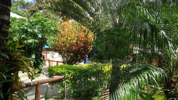 3 Palmeiras Guest Lounge