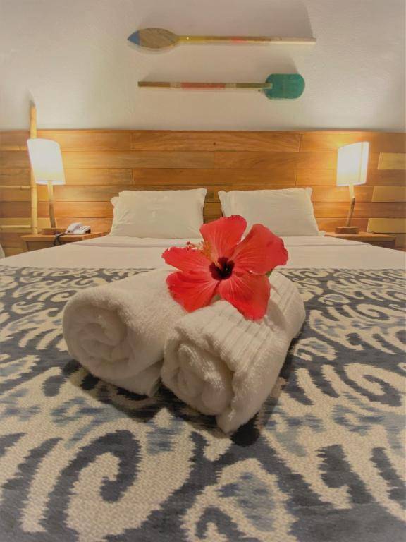 Pousada Estrela do Mar Noronha