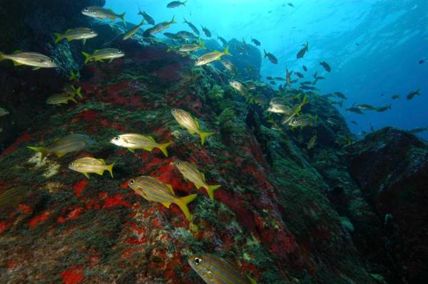 Pousada Boldró Home