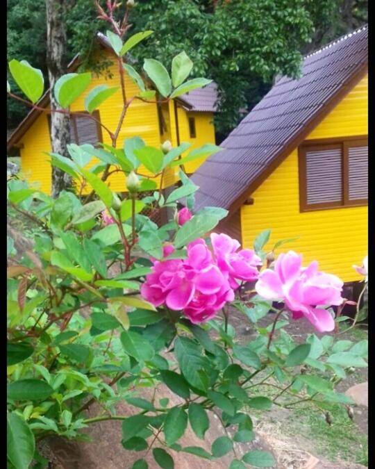 Pousada Bugio da Serra